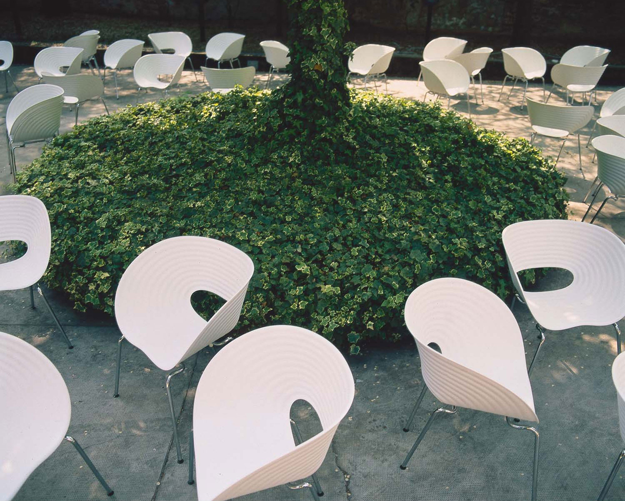 华体会体育官方在线官网 - 坐具|休闲椅|办公家具|华体会体育官方在线官网家具|汤姆维特休闲椅